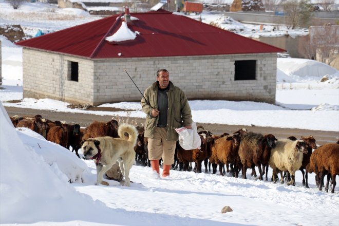 Besicilerin AĞRI - erken üzerindeki kar mesaileri başladı 2
