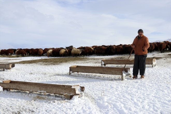 üzerindeki - Besicilerin kar mesaileri AĞRI erken başladı 11