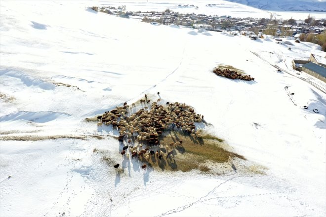 erken üzerindeki kar AĞRI - Besicilerin başladı mesaileri 12