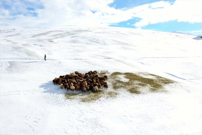 kar - Besicilerin başladı AĞRI üzerindeki erken mesaileri 14