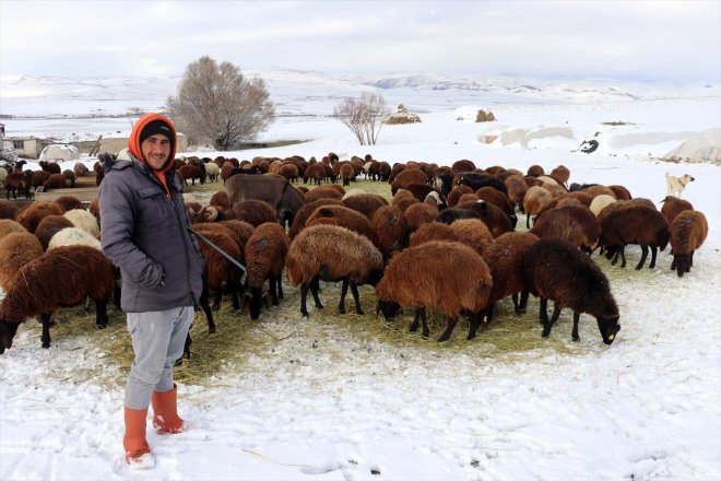 AĞRI Besicilerin başladı erken - üzerindeki mesaileri kar 15