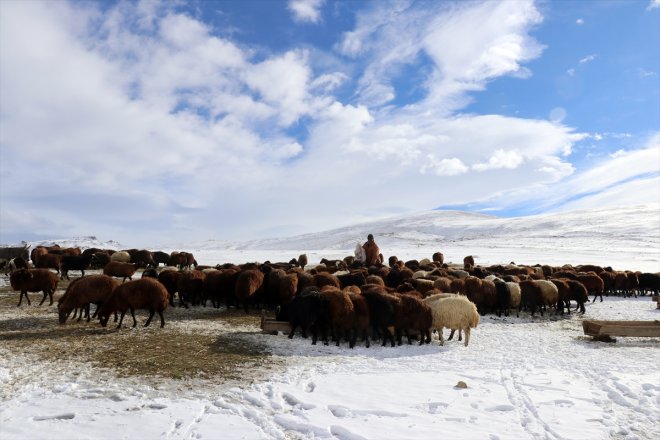 erken Besicilerin AĞRI kar başladı mesaileri üzerindeki - 16