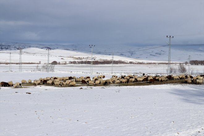 AĞRI üzerindeki mesaileri kar erken - başladı Besicilerin 17