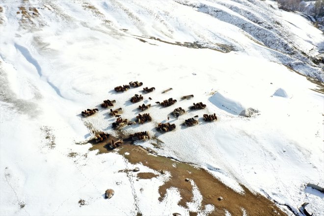 kar - erken başladı Besicilerin üzerindeki mesaileri AĞRI 18