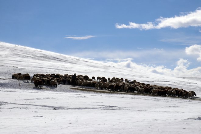 Besicilerin üzerindeki - mesaileri erken AĞRI kar başladı 3