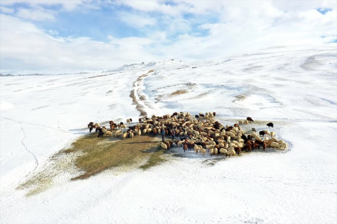 üzerindeki erken mesaileri kar AĞRI - Besicilerin başladı 4