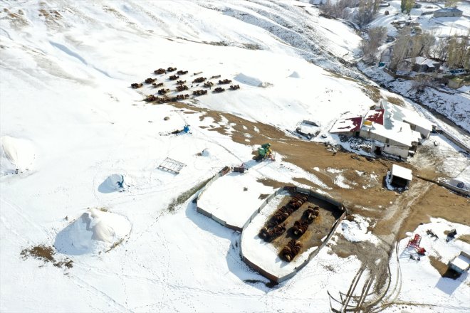 başladı - erken kar üzerindeki Besicilerin AĞRI mesaileri 6