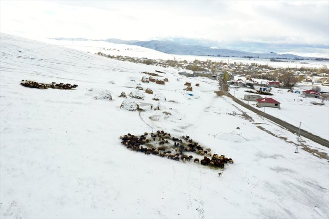 mesaileri AĞRI üzerindeki kar başladı - erken Besicilerin 8