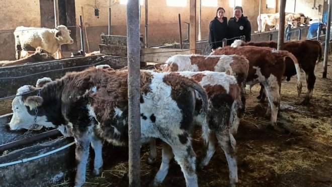 Ardahan'da uzman üreticilere 3,5 milyon lira hibe desteği verildi