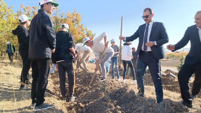 Baskil'de fidan dikimi yapıldı