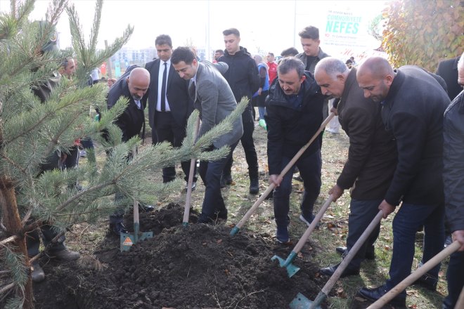 Doğu Anadolu'da fidanlar toprakla buluşturuldu