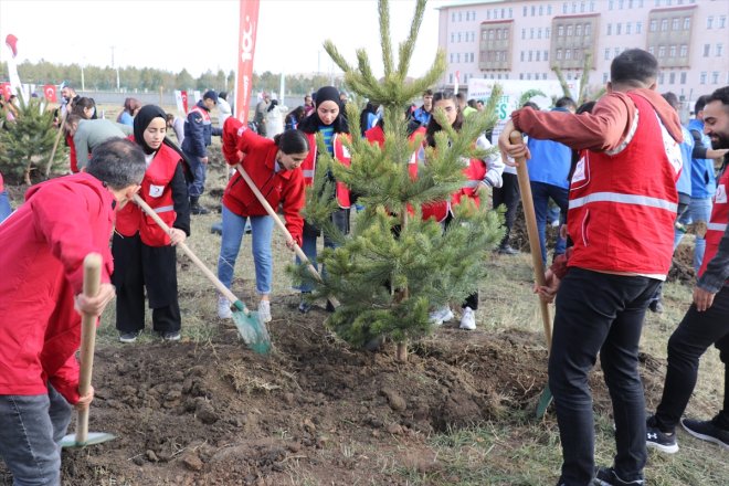 fidanlar Anadolu