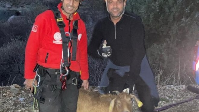 Erzincan'da kayalıklarda mahsur kalan keçi AFAD ekiplerince kurtarıldı