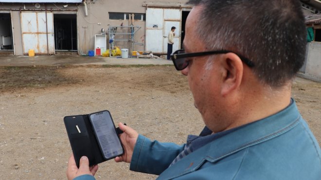 Telefonlarına gelen SMS ile ineğin "kızgınlık" anını öğrenip tohumlamayı zamanında yapıyorlar