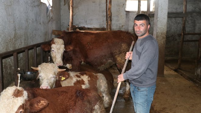 ERZURUM - Ziraat mühendisi devletten aldığı hibeyle köyünde kalıp sürü sahibi oldu1