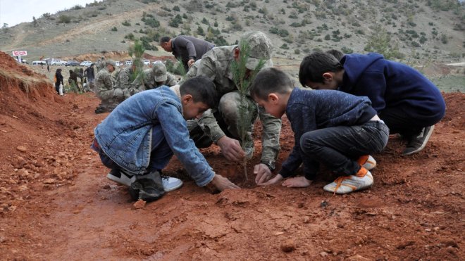 Çukurca'da şehitlerin adına 629 fidan toprakla buluşturuldu
