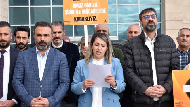 Kadına Yönelik Şiddete Karşı Uluslararası Mücadele Günü