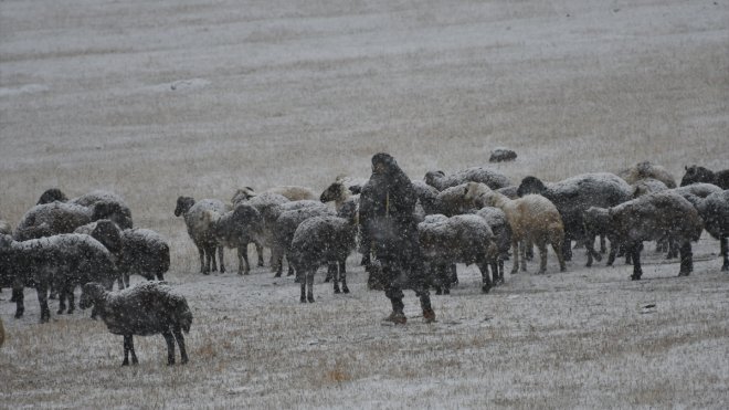Kars'ta kar yağışına hazırlıksız yakalanan besiciler zor anlar yaşadı