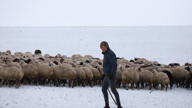 KARS - Merada kar yağışına yakalanan besiciler zor anlar yaşadı1