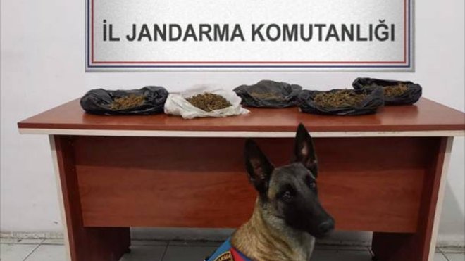 Kars'ta evinde uyuşturucu ele geçirilen zanlı tutuklandı