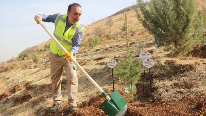 Malatya'da depremlerde hayatını kaybedenler anısına fidan dikildi