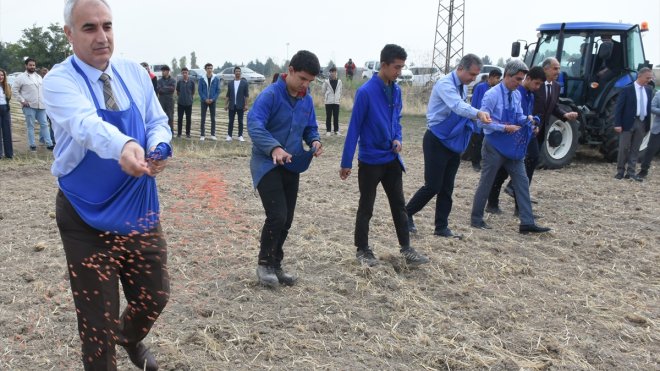 Malatya'da meslek lisesi öğrencileri 200 dekarlık alana buğday ekti