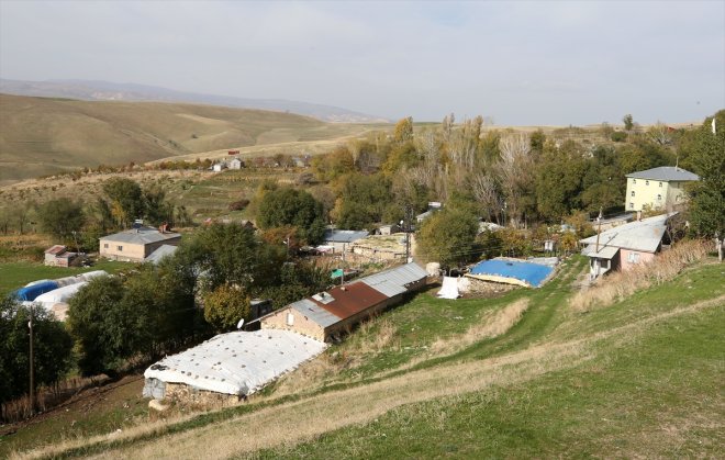 kilometrelerce 12 yol için her Gülşah öğretmen, katediyor gün - MUŞ öğrencisi 23