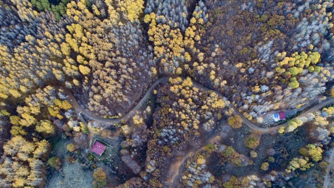 Güz renklerine bürünen Salördek ormanları turizme katkı sağlıyor