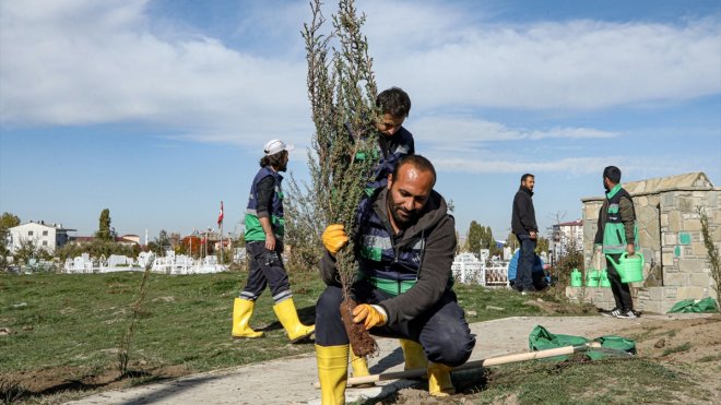Van'da mezarlık alanları ağaçlandırılıyor