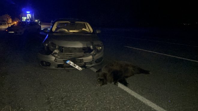 Van'da yola çıkan domuza çarpan otomobildeki 4 kişi yaralandı