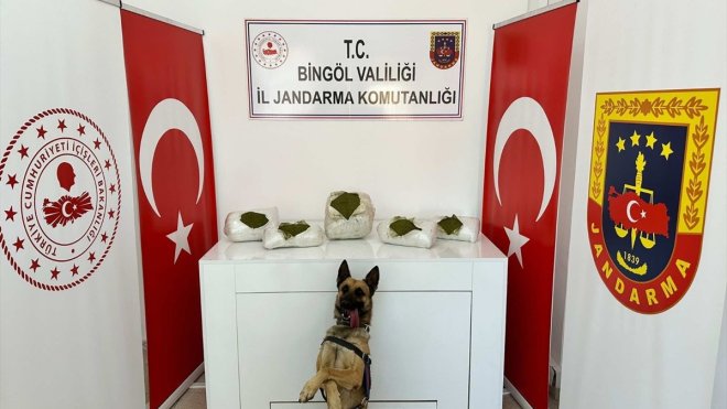 Bingöl