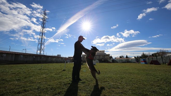Uyuşturucu tacirlerinin korkulu rüyası: "Meke"