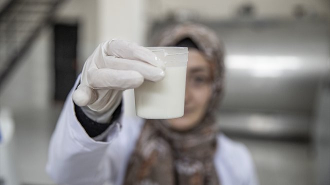 Erzurum'da süt toplama merkezi kırsaldaki kadınların geçim kaynağı oldu
