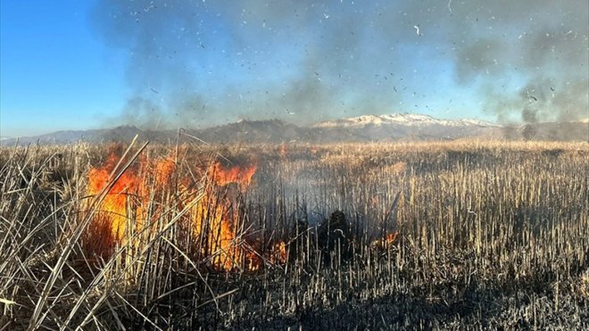 Yüksekova Nehil Sazlığı'nda çıkan yangına müdahale ediliyor