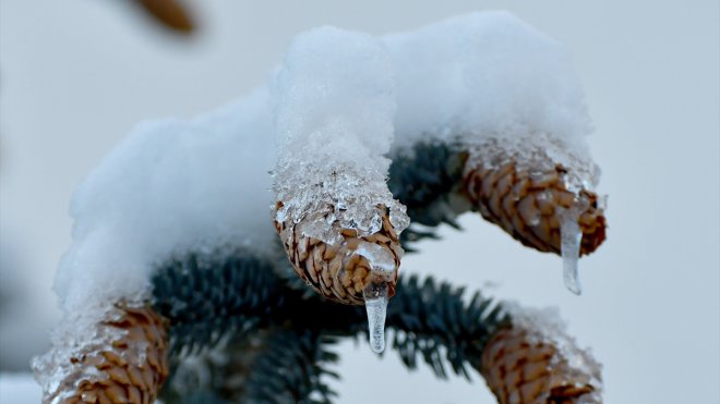 Erzurum, Kars ve Ardahan'da soğuk hava etkili oluyor