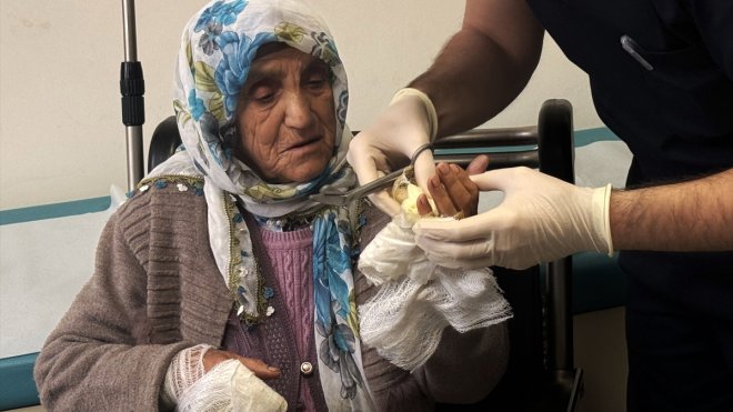 Muş'ta köpeklerin saldırdığı 79 yaşındaki kadın yaralandı