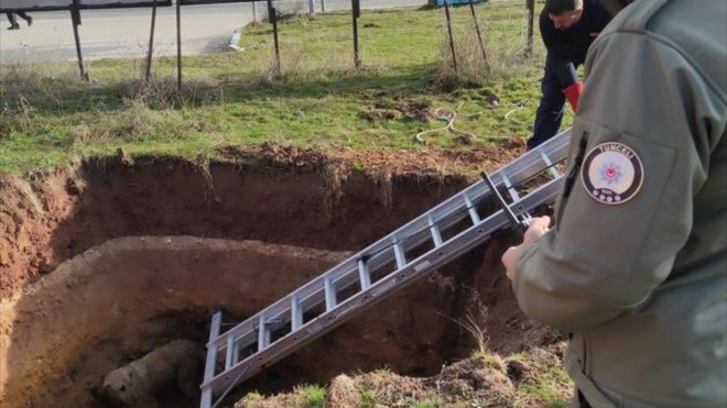 Tunceli'de kuyuya düşen köpeği itfaiye ve polis ekipleri kurtardı