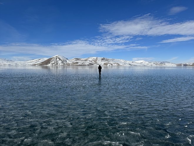 buzla Balık doğa bekliyor yüzeyi tutkunlarını kaplanan Ağrı