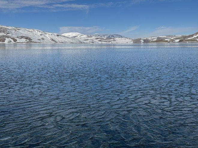 Balık buzla doğa Ağrı