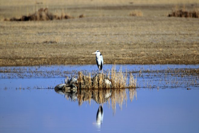 Milli Ağrı mevsiminde tutkunlarını ağırlıyor kış Parkı, doğa Dağı de 3