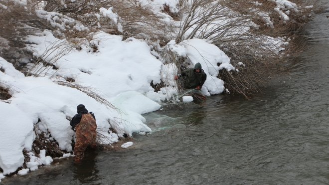 Bingöl'de dondurucu soğukta Peri Çayı'nda tutulan balıklar tezgahlarda satılıyor