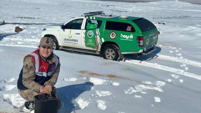 Bitlis'te jandarma ekipleri yaban hayvanları için doğaya yem bıraktı