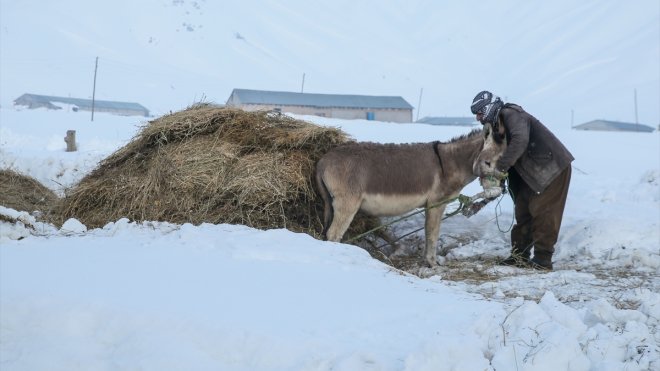 Hakkari'de karla kaplı köylerde günlük yaşam zorlu geçiyor