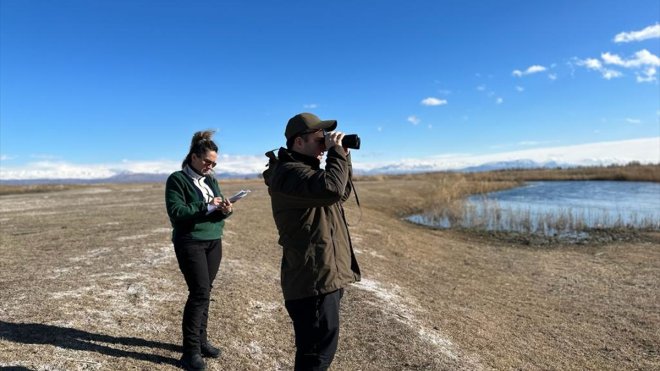 Iğdır'daki sulak alanda kış ortası sayımında 25 türden 2 bin 200 kuş kaydedildi