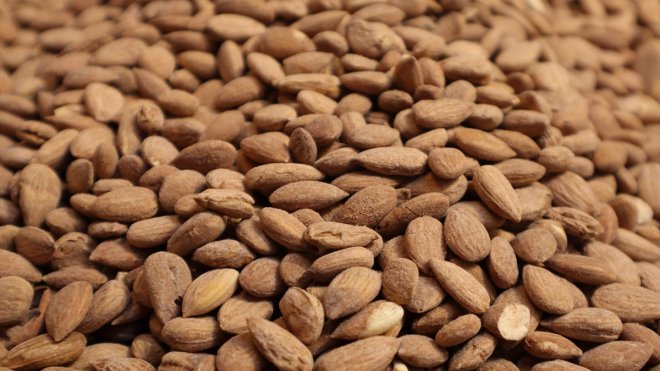 Tescilli kayısı çekirdeği ihracatından 2023'te 16 milyon dolarlık gelir