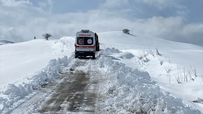 Muş'ta yolu kapanan köylerdeki hastalar, ekiplerin çabasıyla hastaneye ulaştırıldı