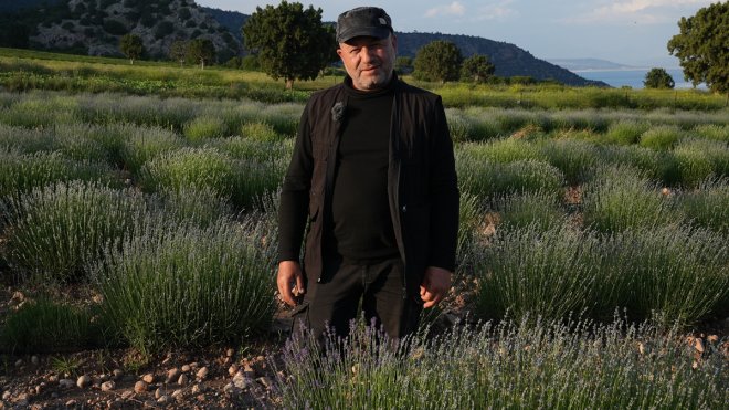 Tivibu'nun yaşam kanalı Tivilife yeni içeriklerini izleyiciye sunuyor