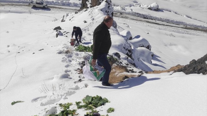 Van'da yaban hayvanları için doğaya yem bırakıldı