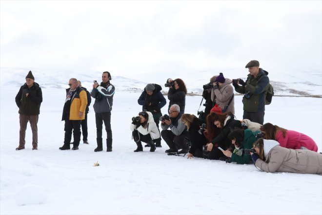 ağırlıyor karla fotoğraf kaplı tutkunlarını Ağrı