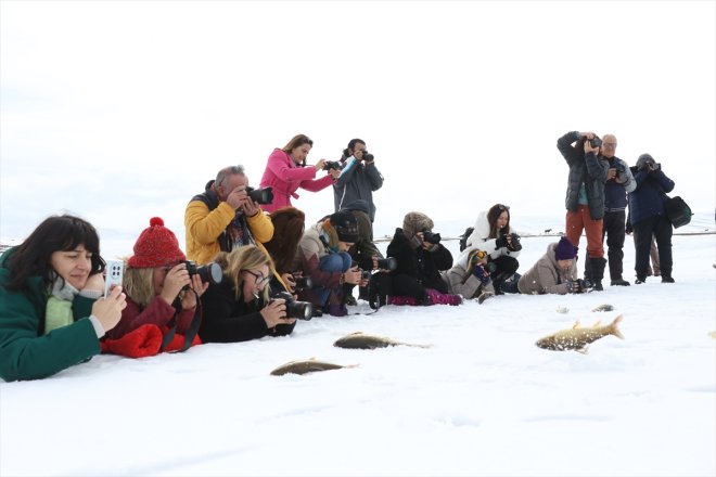 karla kaplı güzellikleri Ağrı